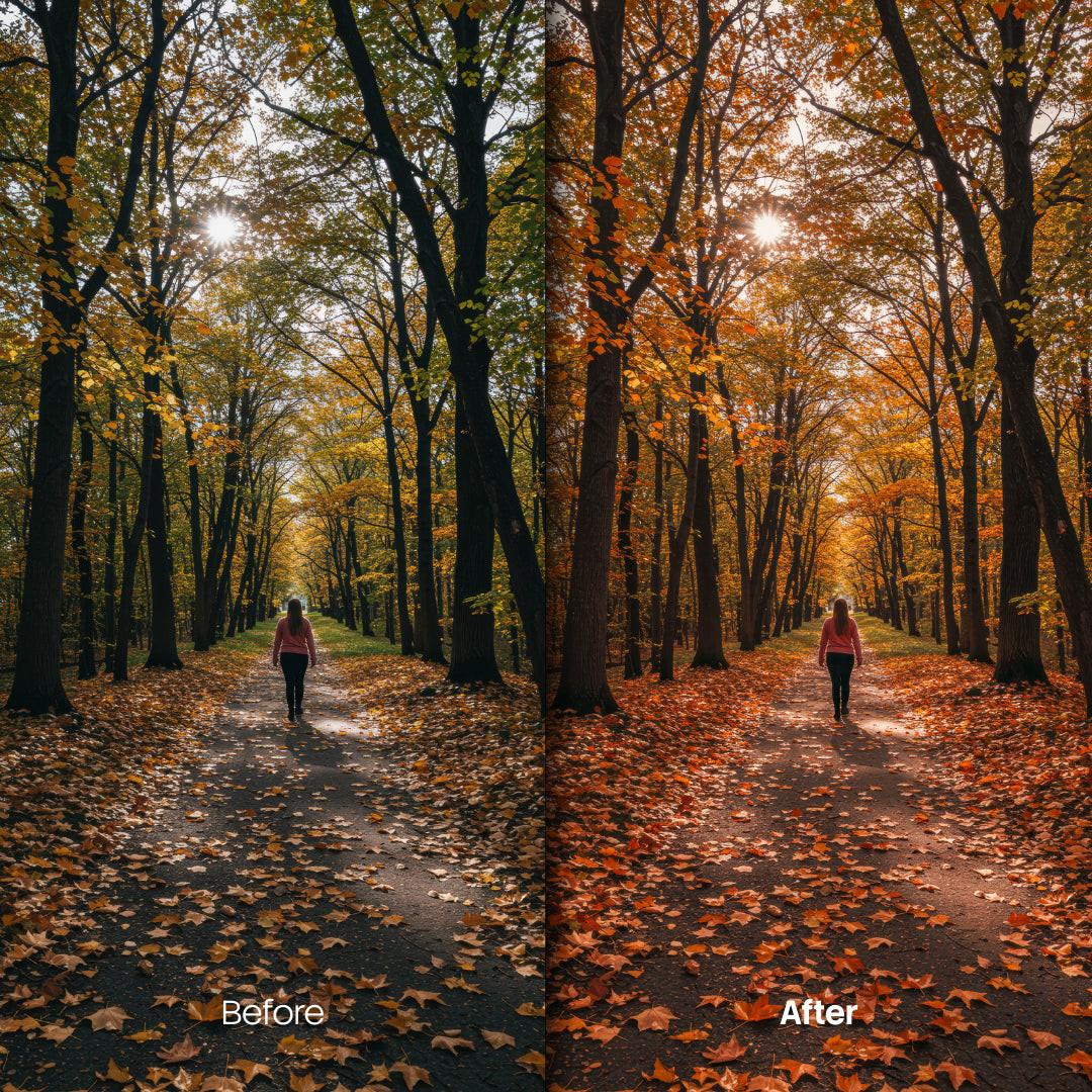 Before and after Vibrant Fall Leaf Tones Lightroom preset edit