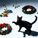 Curious black cat among festive Christmas wreaths