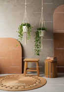 Indoor Hanging Plants in Macramé Holders with Wooden Stool and Rug