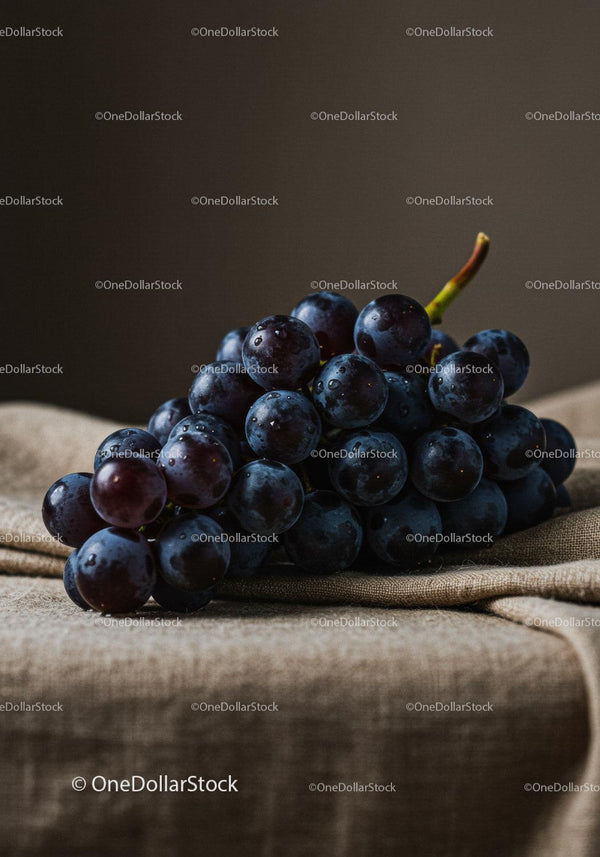Fresh dark grapes on rustic fabric background