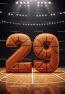 Basketball Styled Number Twenty Nine on Court