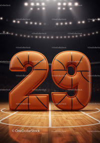 Basketball Styled Number Twenty Nine on Court