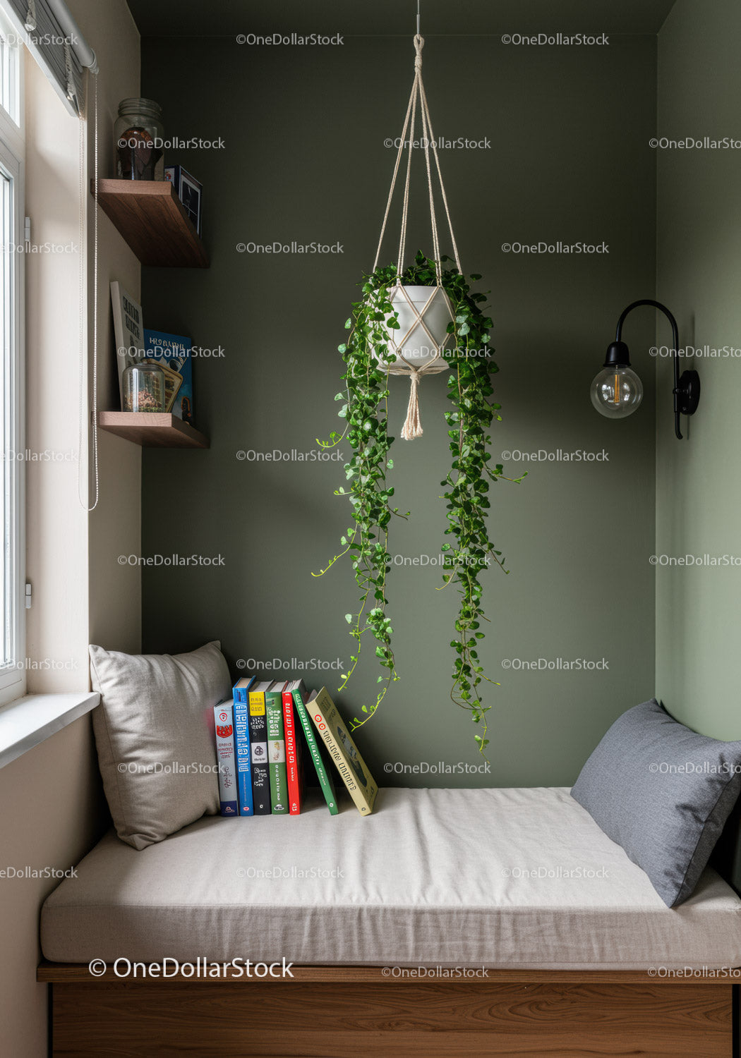 Green Hanging Plant in Cozy Indoor Nook with Modern Decor