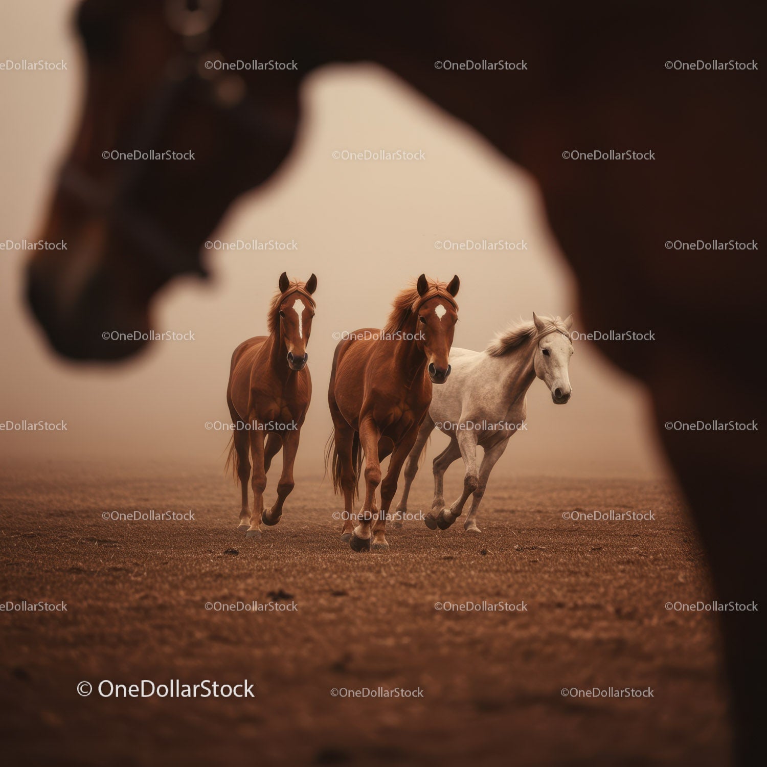 Majestic Herd of Brown Horses Running in Sunset Landscape