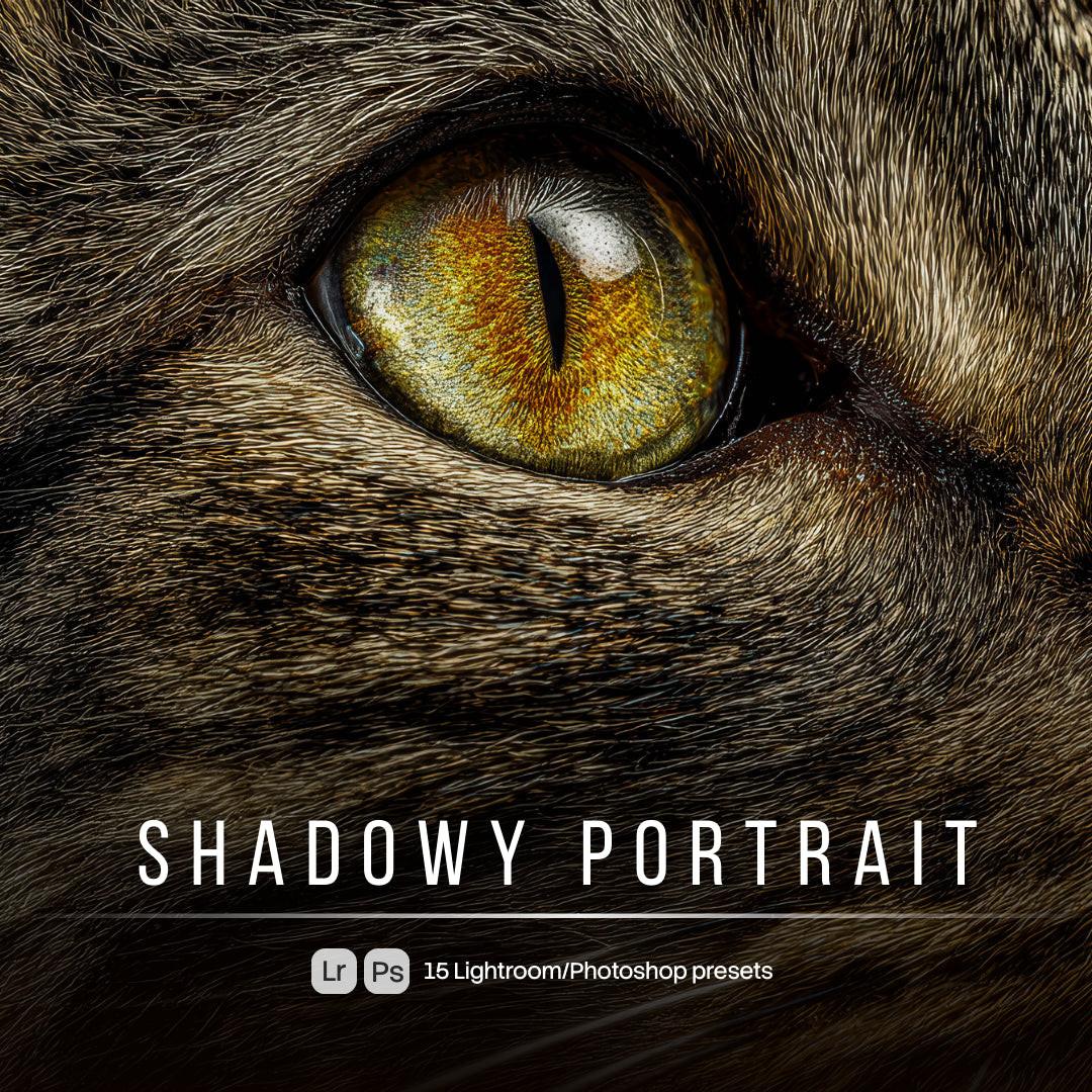 Shadowy Portrait Lightroom presets cover preview
