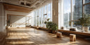 Bright Modern Yoga Studio with Large Windows and Indoor Plants