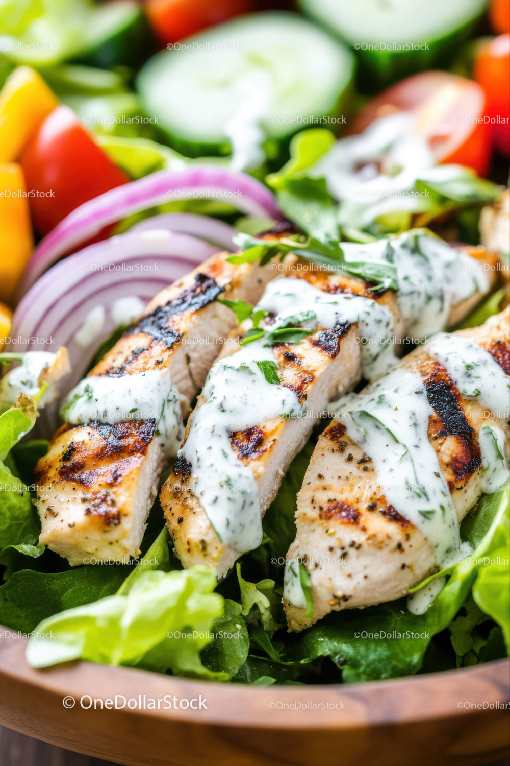 Grilled Chicken Salad with Fresh Vegetables and Herb Dressing