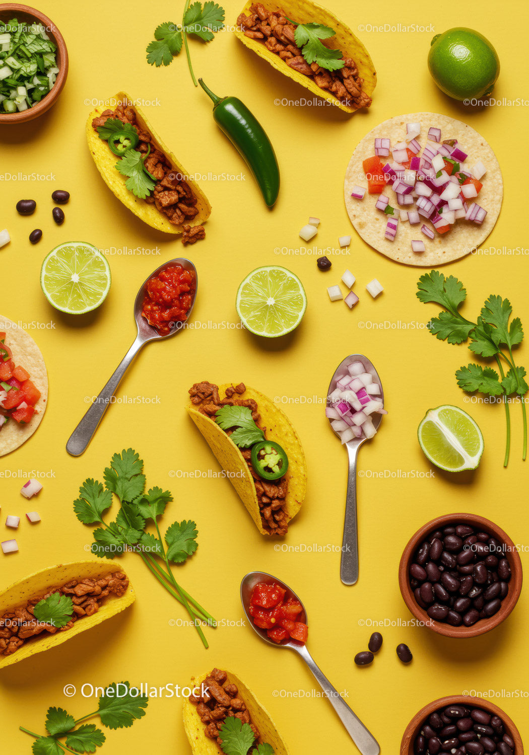 Fresh Mexican Tacos with Salsa and Fresh Ingredients