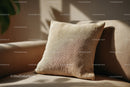Beige Cushion on Cozy Sofa in Modern Living Room