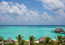 Tropical Ocean Scene with Overwater Bungalows and Palm Trees