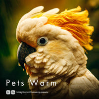 Pets Warm Lightroom presets cover preview
