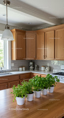 Bright Kitchen with Wooden Cabinets and Potted Basil and Mint