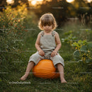 Toddler Sitting on Large Pumpkin in Golden Field