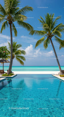 Tropical Beach Scene with Palm Trees and Clear Blue Water