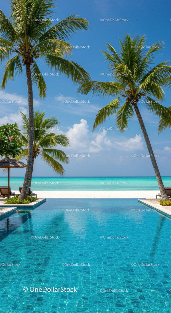 Tropical Beach Scene with Palm Trees and Clear Blue Water