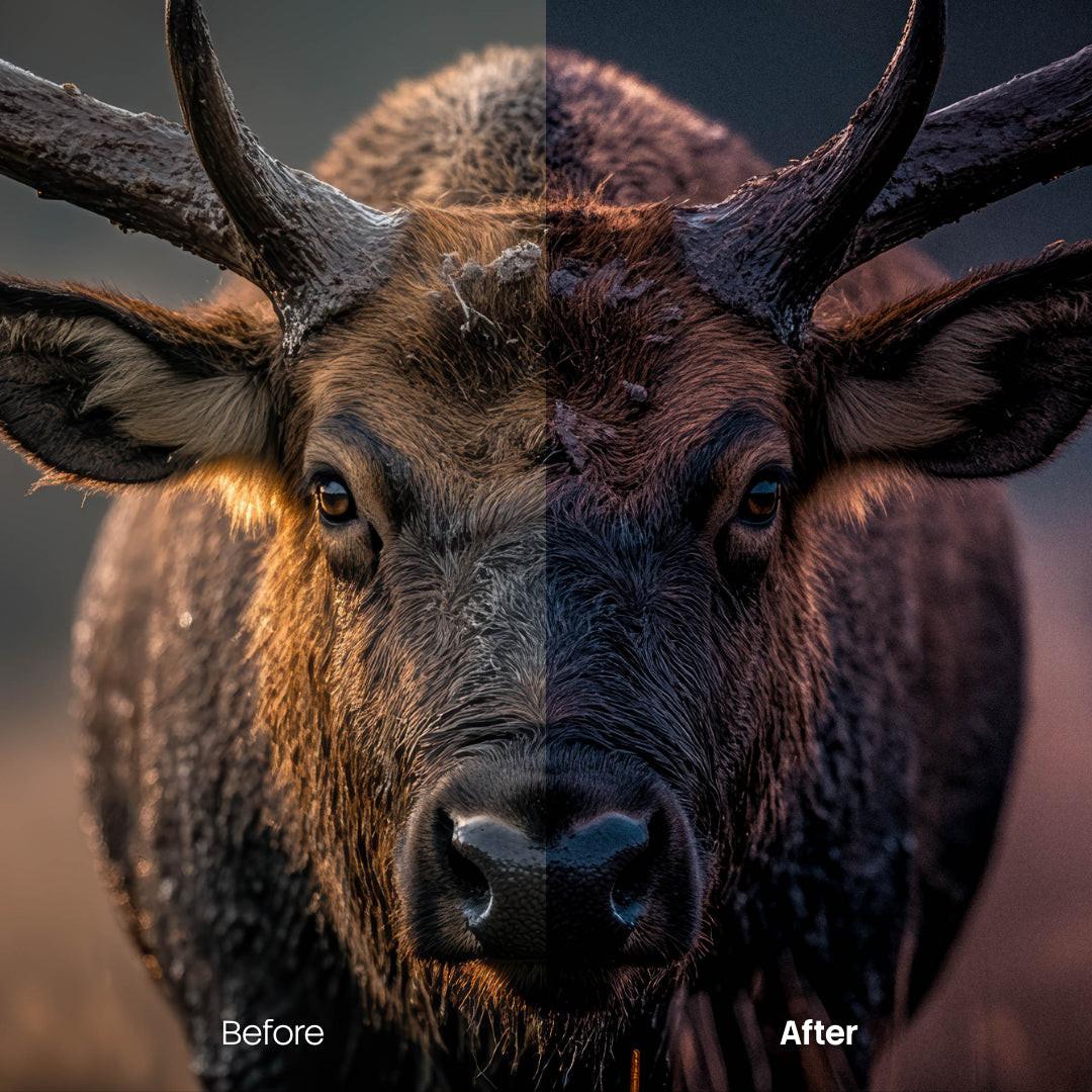 Before and after Retro Lightroom preset edit