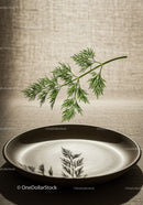 Fresh dill suspended above minimalist ceramic plate