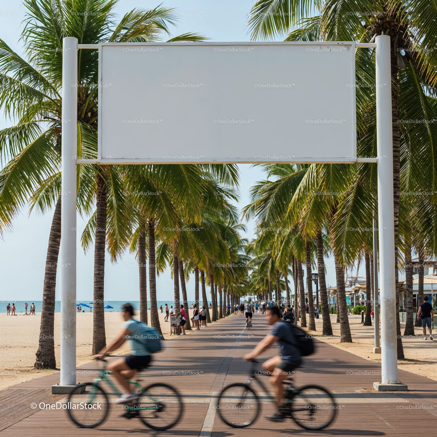 Palm-lined beach promenade with cyclists and pedestrians