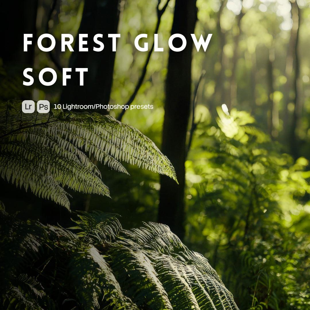 Forest Glow Soft Lightroom presets cover preview