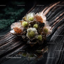 Mineral Crystal Cluster with Gemstone-like Appearance on Dark Wood Surface