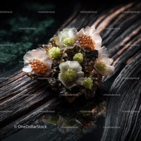 Mineral Crystal Cluster with Gemstone-like Appearance on Dark Wood Surface