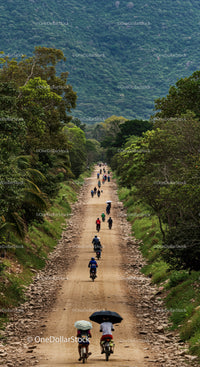 Scenic Mountain Road with Cyclists and Motorbikers in Lush Forest