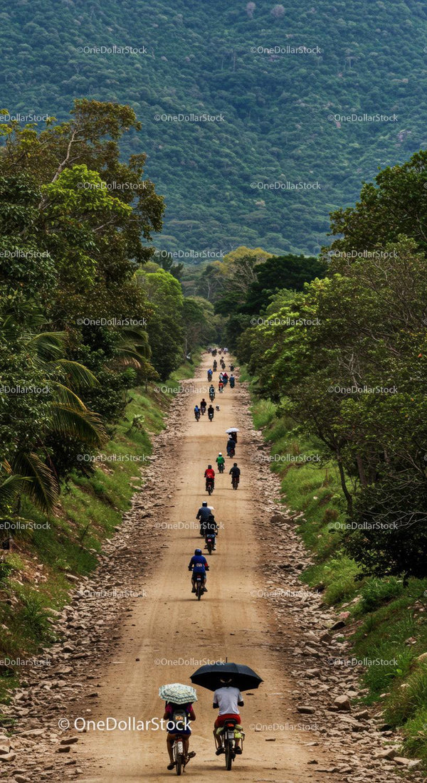 Scenic Mountain Road with Cyclists and Motorbikers in Lush Forest