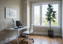 Bright Modern Home Office with Large Window and Tall Ficus Plant