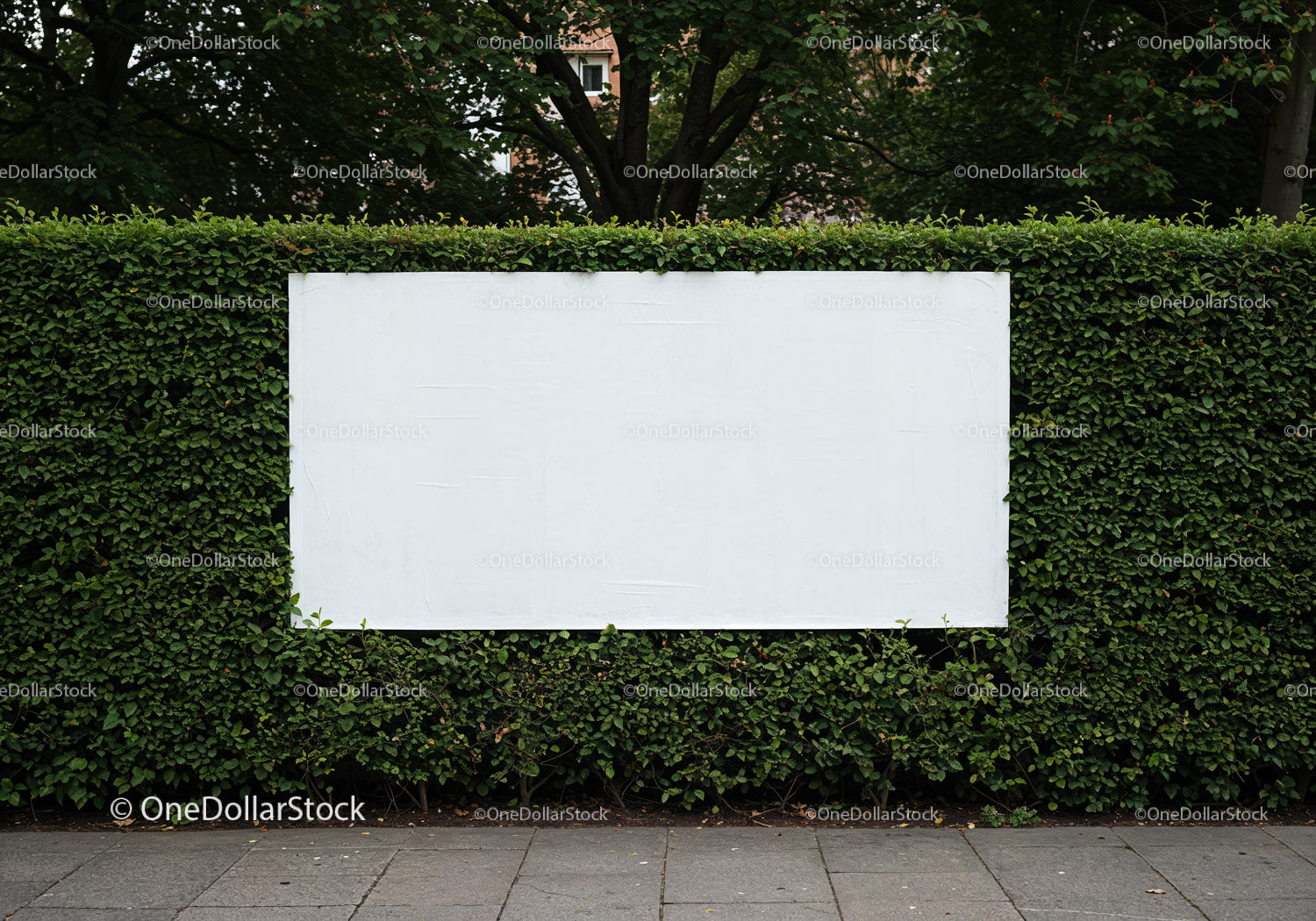 Pusty billboard na zielonym żywopłocie w miejskim otoczeniu