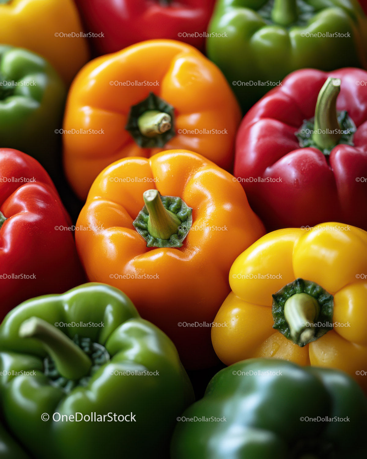 Colorful Bell Peppers in Bright Red Yellow and Green