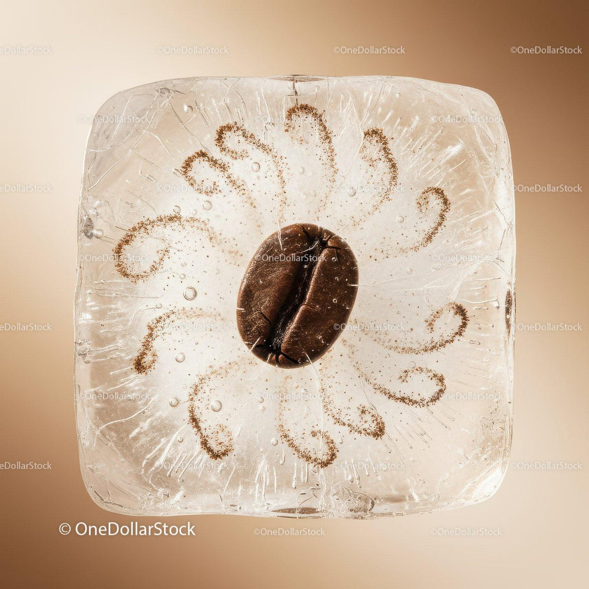 Coffee Bean Frozen Inside a Clear Ice Cube