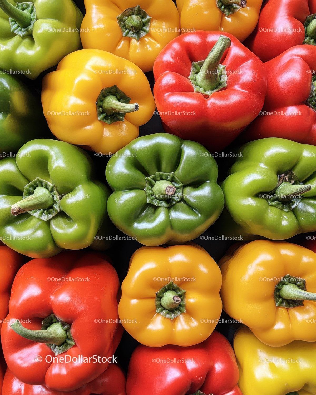 Colorful Bell Peppers in Green Red and Yellow on Market Display