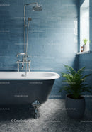 Elegant clawfoot bathtub with shower in modern bathroom