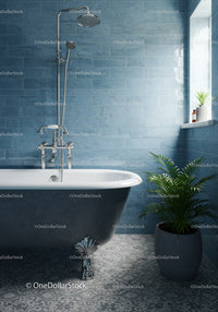 Elegant clawfoot bathtub with shower in modern bathroom