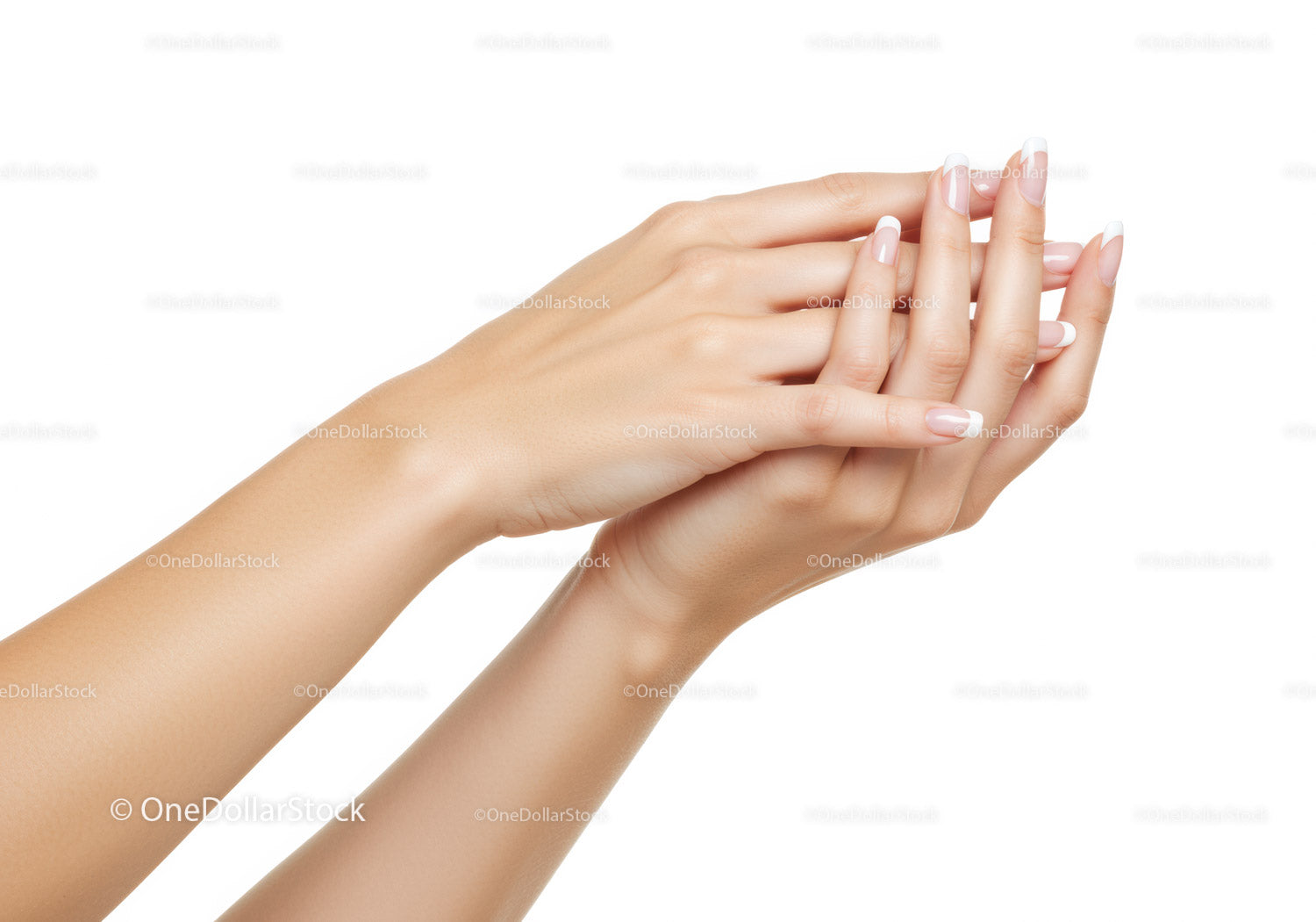 Elegancka kobieta pokazuje francuski manicure na dłoniach