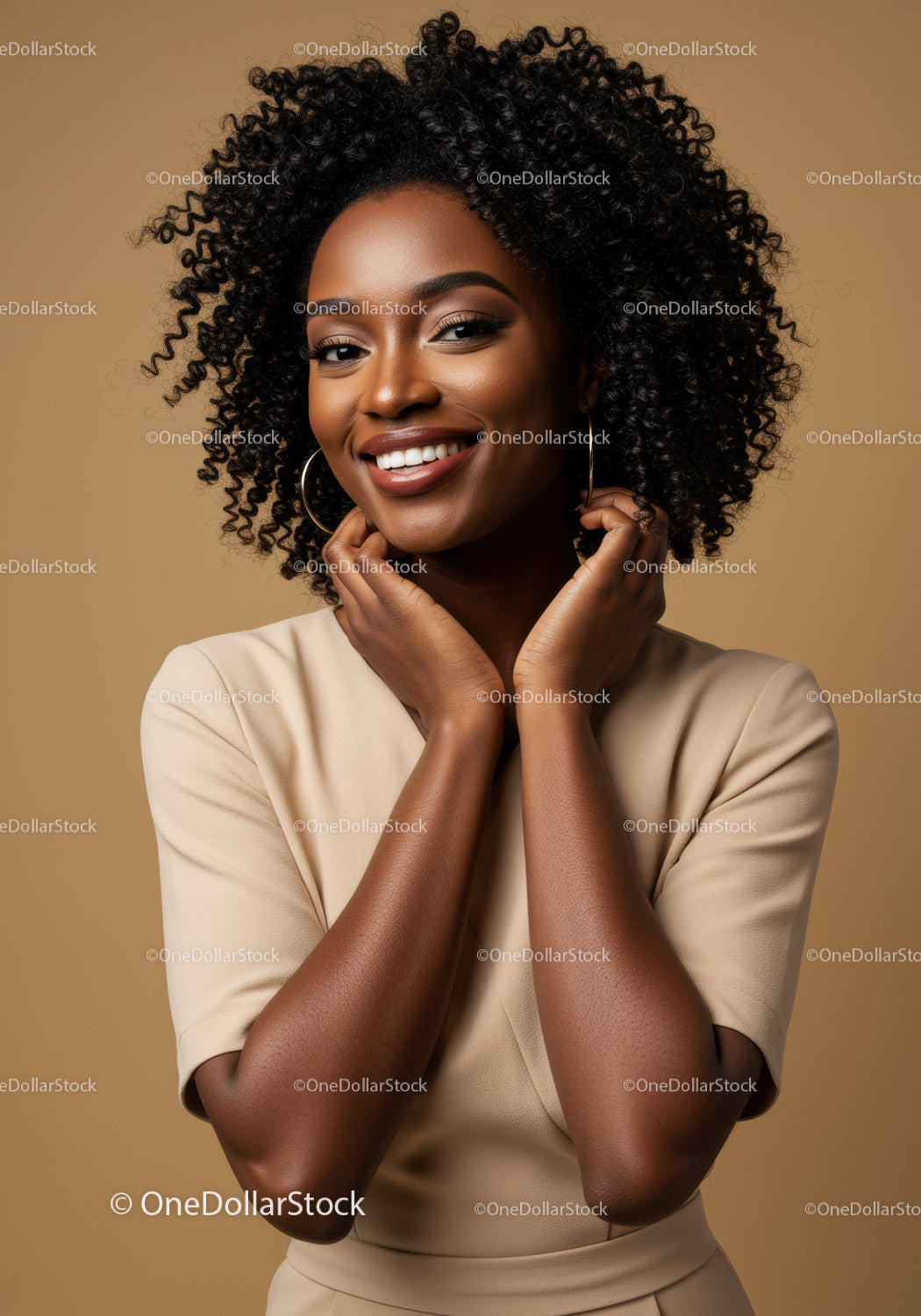 Elegant African American Woman with Curly Hair Smiling Portrait
