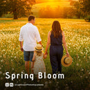 Spring Bloom Lightroom presets cover preview