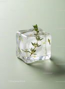 Ice Cube with Fresh Green Thyme and Drops