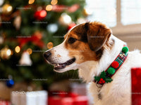 Happy dog wearing festive collar by Christmas tree