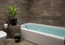 Modern Bathroom with Green Plant and Water-filled Bathtub