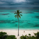 Serene Tropical Beach with Palm Tree and Turquoise Waters