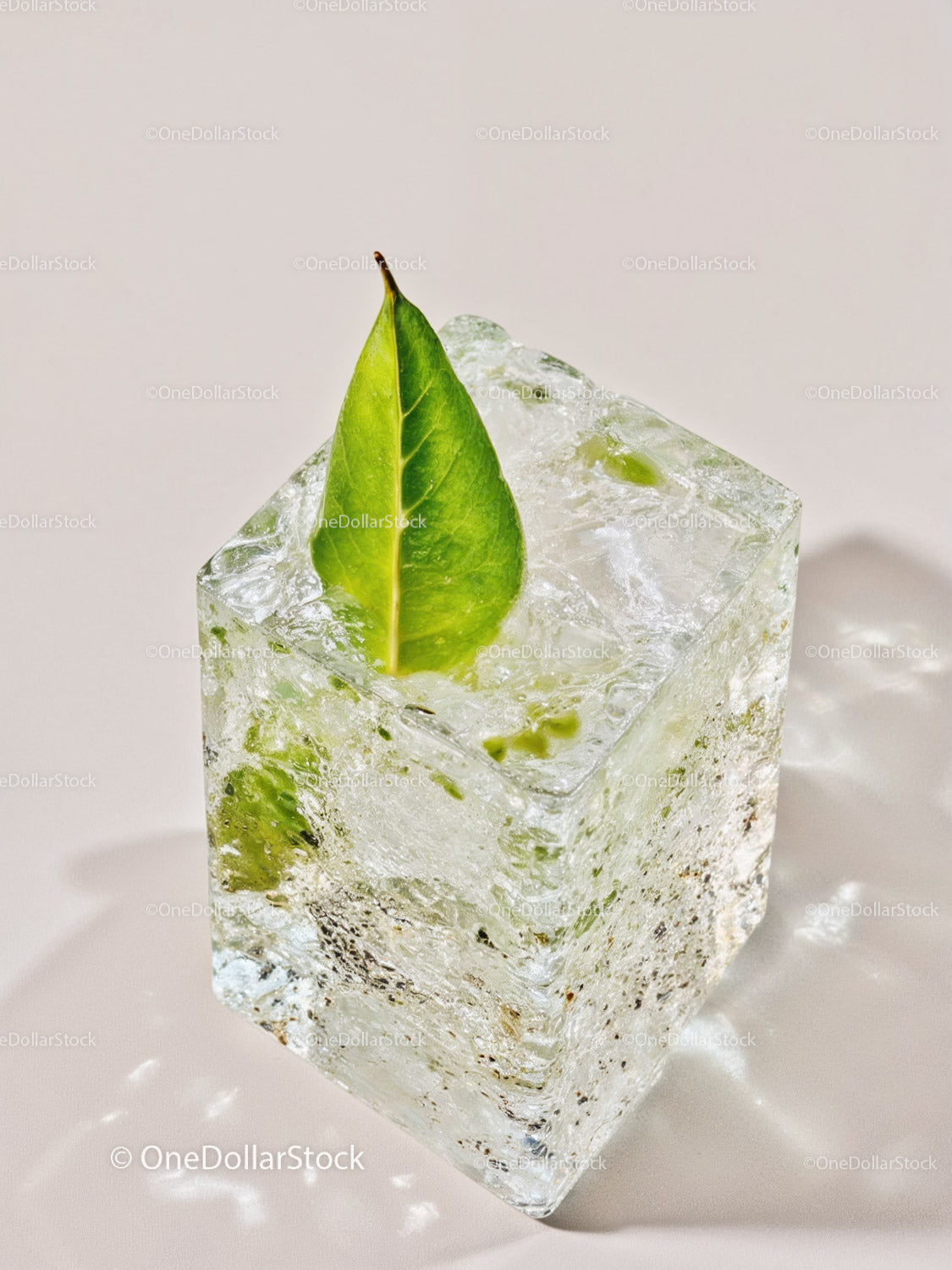 Fresh green leaf embedded in clear ice cube