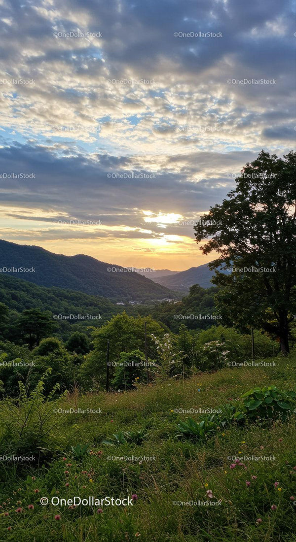 Scenic Sunset Over Green Mountain Valley with Lush Forest