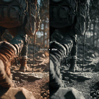 Forest Glow Mono XMP presets color grading preview