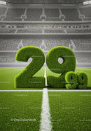 Grass Numbers Representing 29.99 Price on Stadium Field
