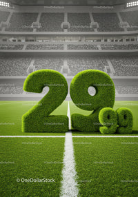 Grass Numbers Representing 29.99 Price on Stadium Field