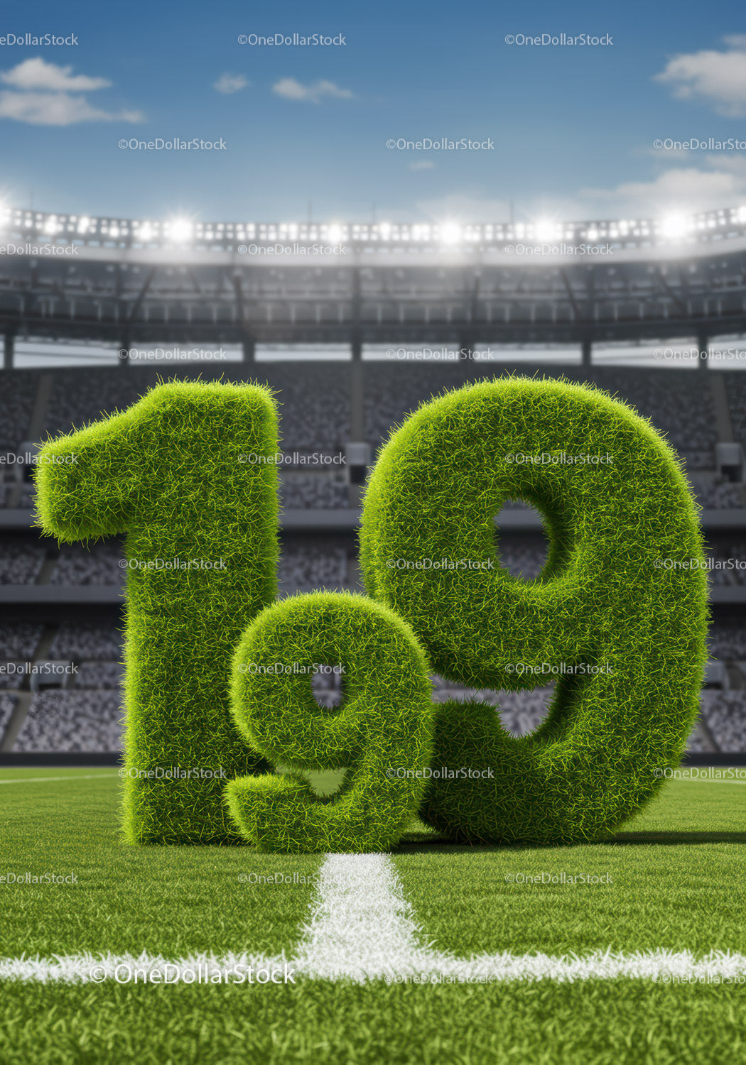 Green Grass Number 19 on Football Stadium Field
