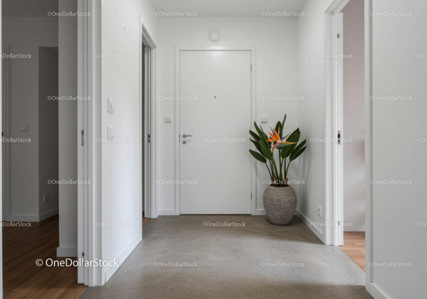 Clean Modern Hallway with Indoor Plant and Minimalist Decor