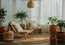Cozy lounge area with natural light and greenery