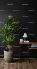 Lush Green Indoor Plant in Modern Minimalist Interior